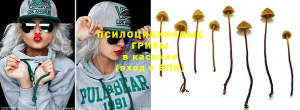 дмт Алзамай